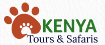 Kenya tours and safaris